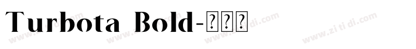 Turbota Bold字体转换